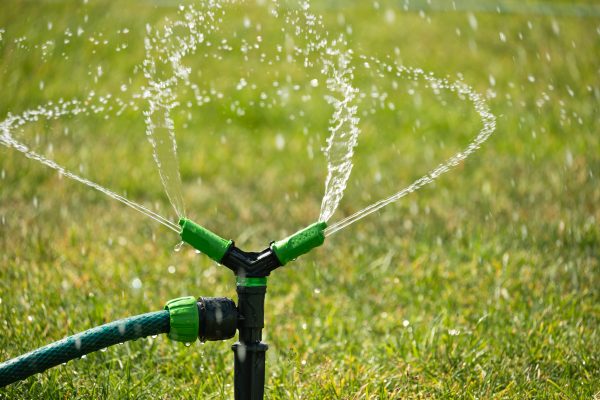 Green lawn automatic irrigation system in park. Watering lawn at heat summer. Close up.